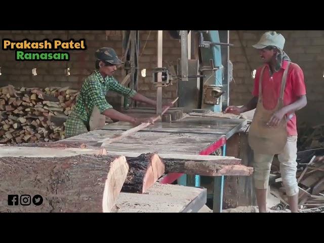 How To Babul Wood Size Cutting at Sawmill | Bandsaw in India@villageboypro9885