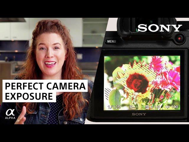 Perfect Camera Exposure with Zebra Stripes | Sony Alpha Universe