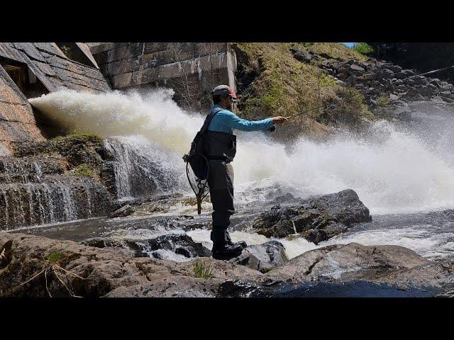 Trophy Stretch CT River - Pittsburg NH a Fly Fishers Paradise