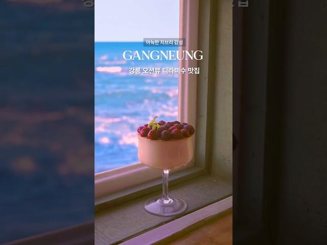 나만 알고싶은 강릉 오션뷰 카페
