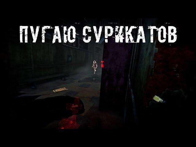 Внезапный ХИТ | Гоуст Фейс | Dead by daylight