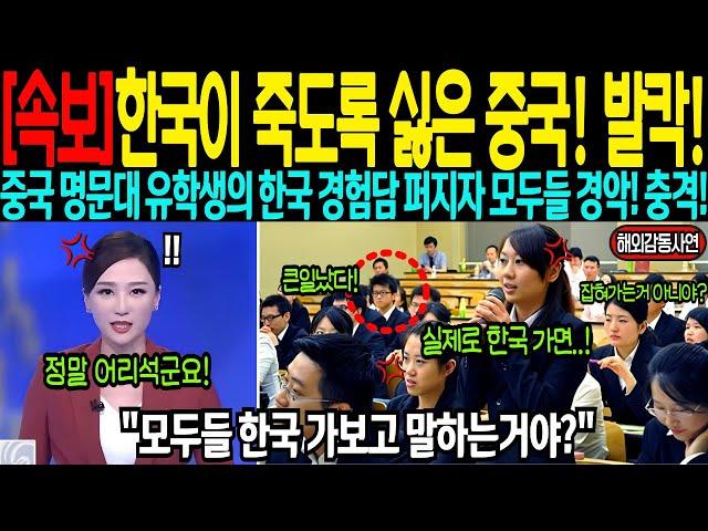 [해외감동사연] 중국 명문대 유학생의 한국 경험담 퍼지자 14억 중국인들 발작했다!
