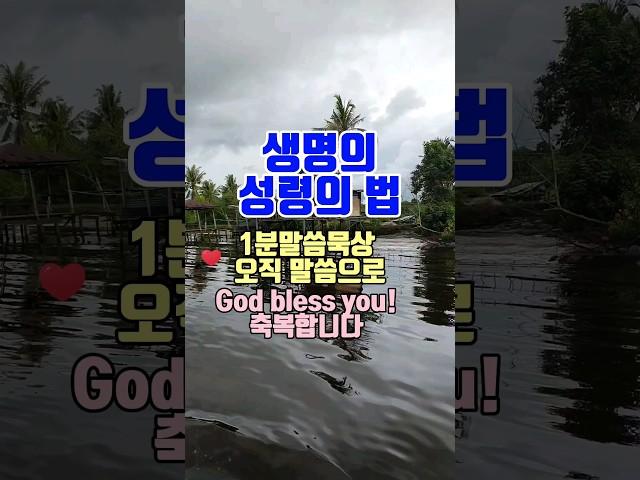 #1분말씀 #생명의 성령의 법 #말씀듣기 #말씀묵상 #1분말씀듣기 #1분말씀묵상 #말씀듣기 #말씀묵상 #성경암송  #짧은설교  #명언 #목양감리교회 #말씀조은tv #shorts