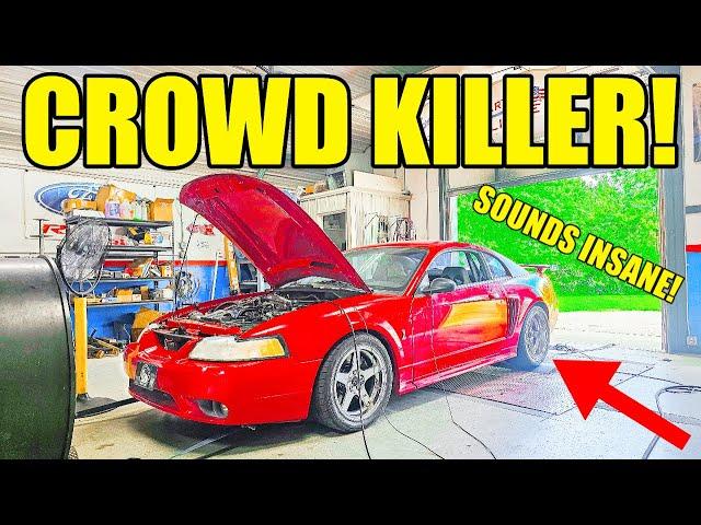 I Finished The Cobra & Built A Crowd Killer! Tuned To Perfection & Just Ridiculous!