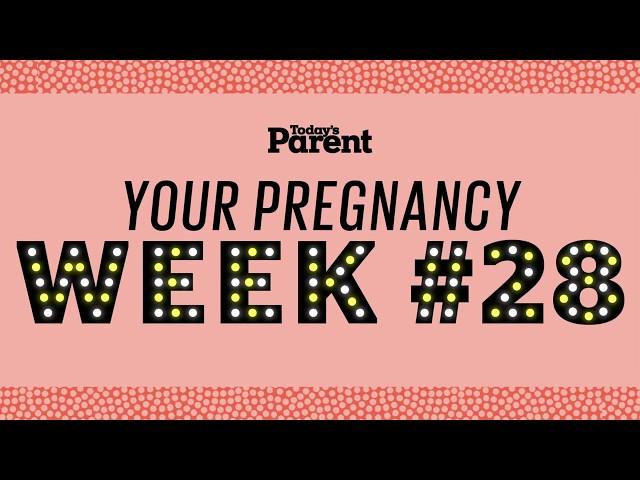 Your pregnancy: 28 weeks