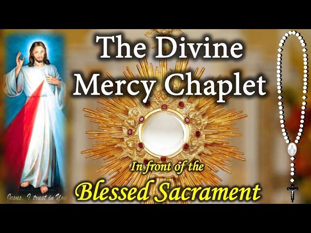 Divine Mercy Chaplet in front of the BLESSED Sacrament (Virtual)