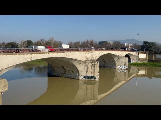 Running with Clay — Arno River, Firenze