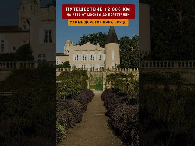 БУТЫЛКА ВИНА ЗА 230000 ДОЛЛАРОВ Путешествие 12000 км #travellinger 3/62 #bordeaux #lafite #rothshild