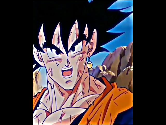 Vegetto edit