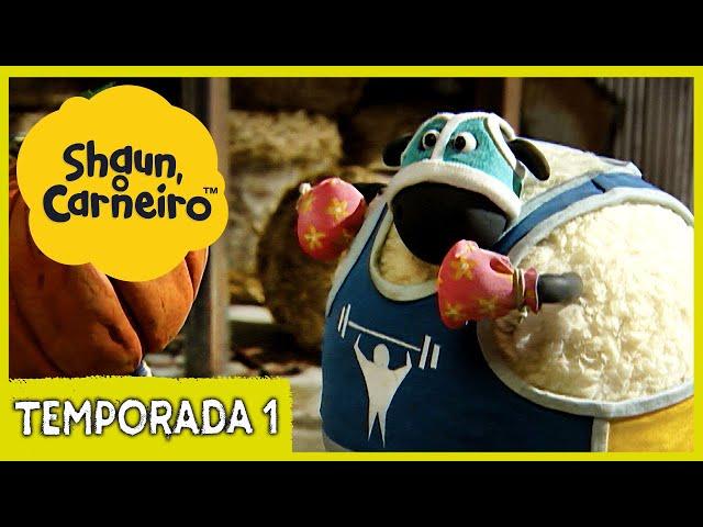 Em Forma com o Shaun Shaun, o Carneiro [Shaun the Sheep]Episódio Completo | Cartoons Para Crianças