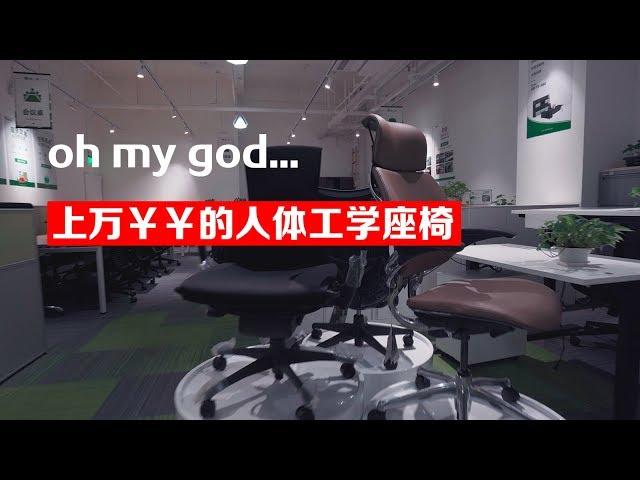 【BIGDONGDONG】#119 上万￥￥的人体工学座椅到底有什么不同？！丨Herman Miller Humanscale 简单体验