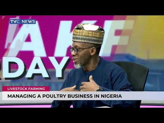 Livestock Farming: How To Manage A Poultry Business In Nigeria