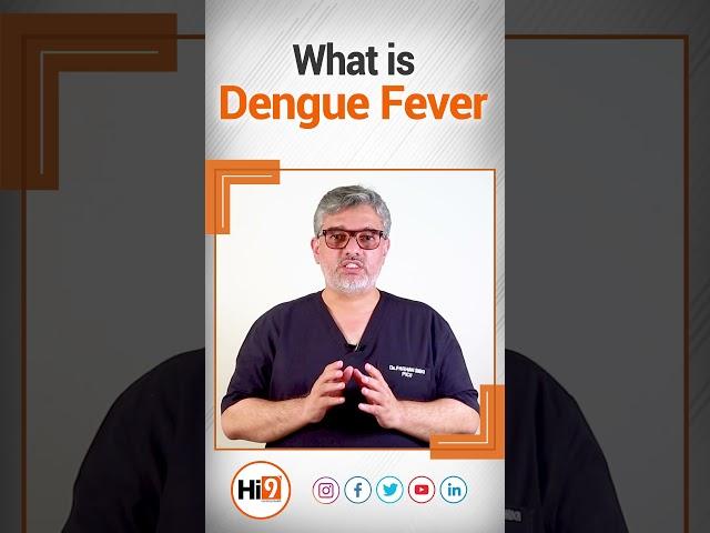 Dengue Fever: Symptoms, Causes, and How to Protect Yourself | Hi9 |