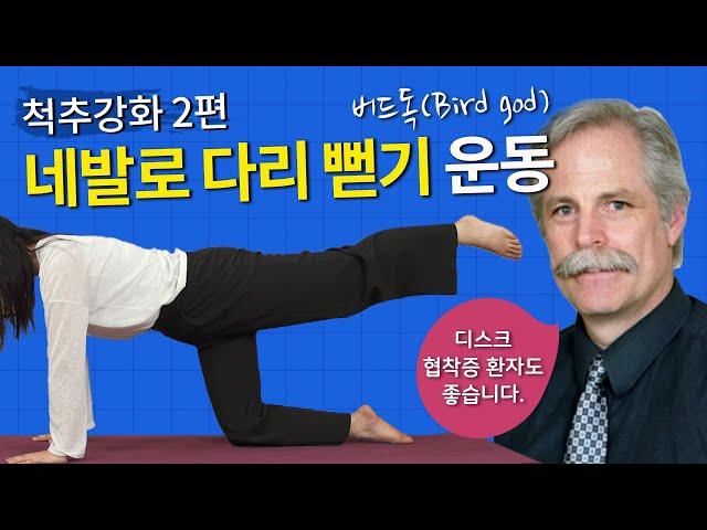 [연세사랑병원] 허리에좋은운동 2편, 디스크/협착증 환자라면 벽에 붙어서 해주세요!