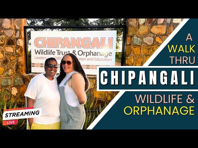 CHIPANGALI: A WILDLIFE ORPHANAGE IN BULAWAYO ZIMBABWE