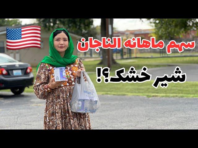 امریکا و حقوق طفل دوماهه بالای دولت| در امریکا حمایت دولت از نوزادان چقدر است؟ النا قشنگ ما و سهمش️