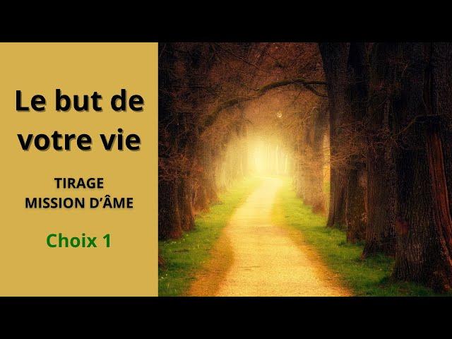 MISSION D'ÂME 1 (tirage à 3 choix) - "Découvrez la raison de votre incarnation, votre but de vie..."