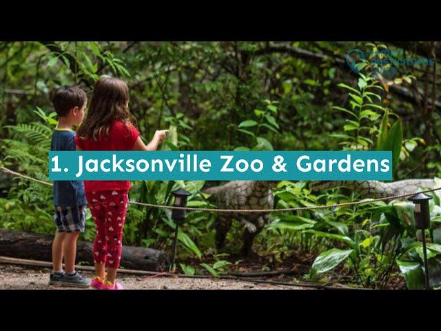 15 Fun Things to Do in Jacksonville with Kids