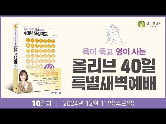 올리브 40일 특별새벽예배 10일차ㅣ24.12.11ㅣ이혜영 목사