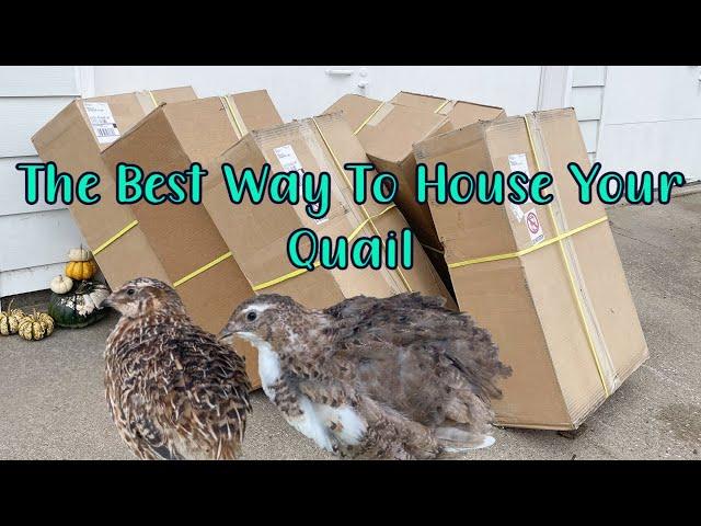 Best Quail Cage | Wynola Ranch 6 Tier Cage