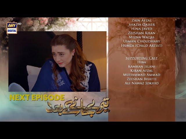 Teray Janay Kay Baad Last Episode | Teaser | ARY Digital Drama