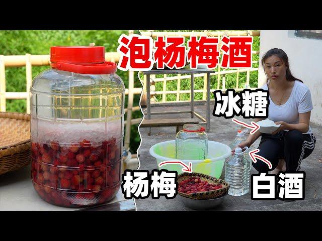 花两百块钱买二十斤白酒，把摘来的杨梅泡成杨梅酒，给爸爸开心坏了，又可以喝几个月了