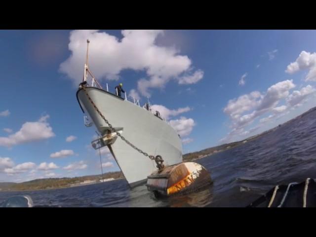 buoy jumping video