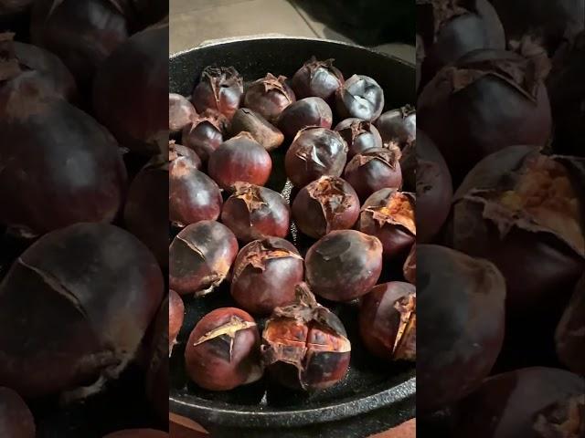 Chestnuts roasting on an open fire...literally