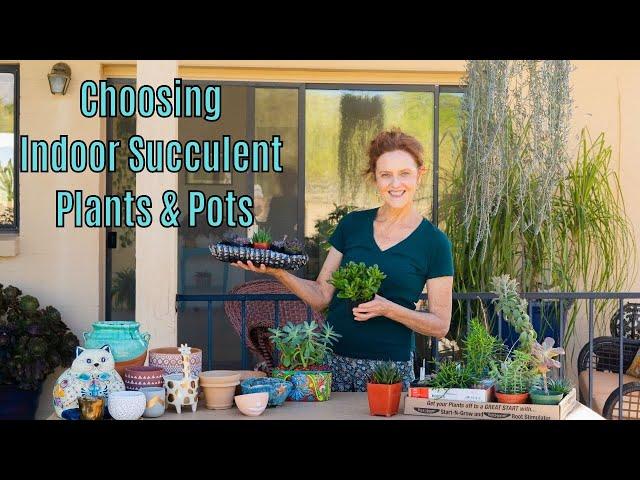 INDOOR SUCCULENT PLANTS: CHOOSING SUCCULENTS & POTS /JoyUsGarden