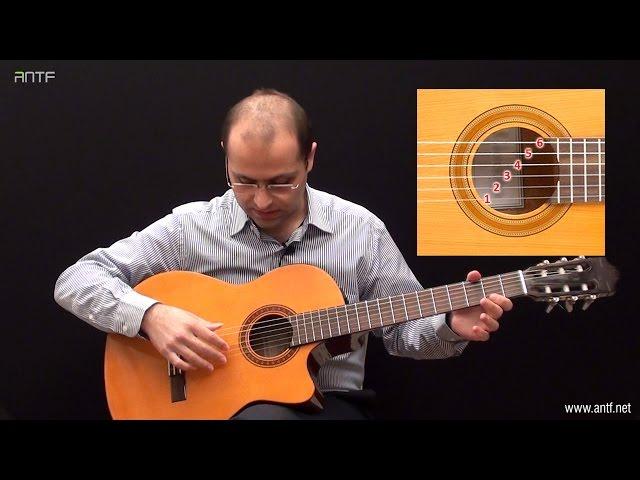 Guitar 101 - Day 1 in Learning Guitar - تعلم عزف الجيتار - بالعربية (Dr. ANTF)