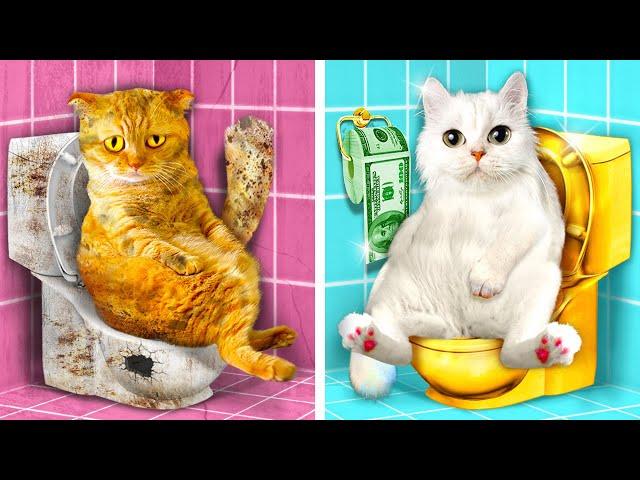 Must-Have GADGETS for your CAT! How to Sneak Pets from Parents by La La life Games