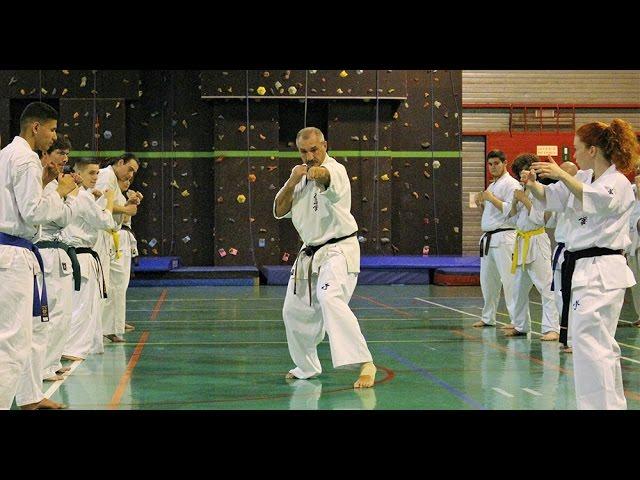 Seminar With Shihan Sergei Vsevolodov In Belgium 2016