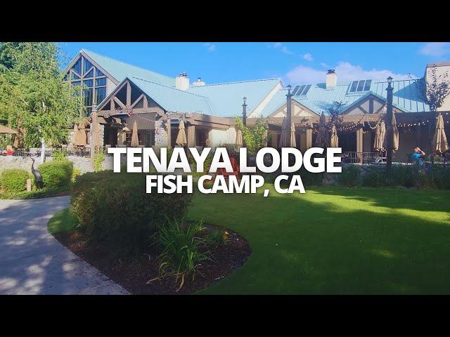 Exploring Tenaya Lodge in Fish Camp, CA USA Walking Tour #tenayalodge #fishcamp #yosemite #tenaya