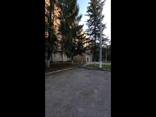 Белова Светлана. Журналист в законе  в прямом эфире!
