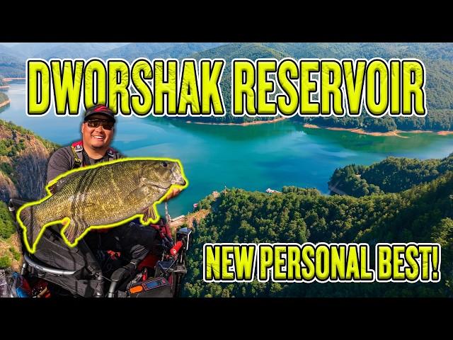 Dworshak Reservoir Has GIANT Smallmouth and They Eat "Big" Swimbaits!