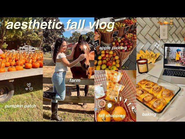 COZY FALL VLOG  apple picking, fall shopping, baking, aesthetic