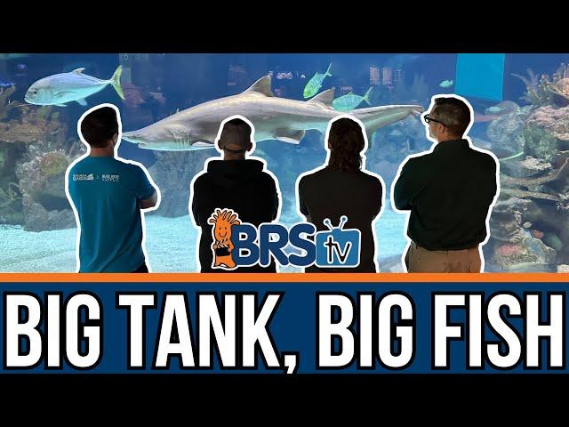 Maintaining A 215,000 Gallon Saltwater Tank