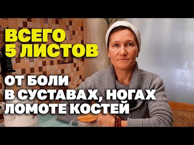 ЦЕЛИТЕЛЬНЫЙ ОТВАР ВЫВОДИТ ШЛАКИ СНИЖАЕТ САХАР В КРОВИ СНИМАЕТ БОЛЬ @obovsemsmarusya