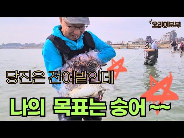 당진은 전어밭인데 나의 목표는 숭어~~ #투망 #바다투망 #서해투망 #숭어 #전어 #fishing#흑백요리사