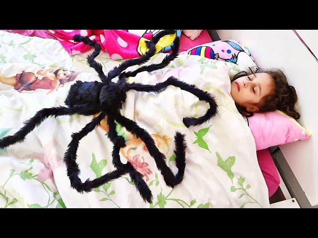 Une grosse araignée sur le lit de Diana!! A BIG SPIDER ON DIANA'S BED