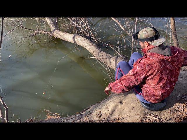 В ЭТИХ КОРЯГАХ ВОДИТСЯ КРУПНАЯ КРАСНОПЁРКА. Рыбалка на поплавок в ноябре. Астрахань 2023.