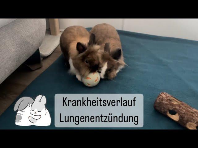 Krankheitsverlauf Lungenentzündung | StupsNasen