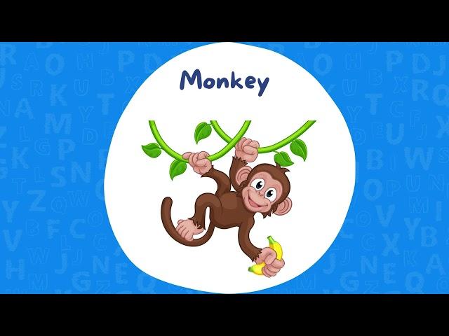 ABC Animal Education Video | Curious Tots Tv