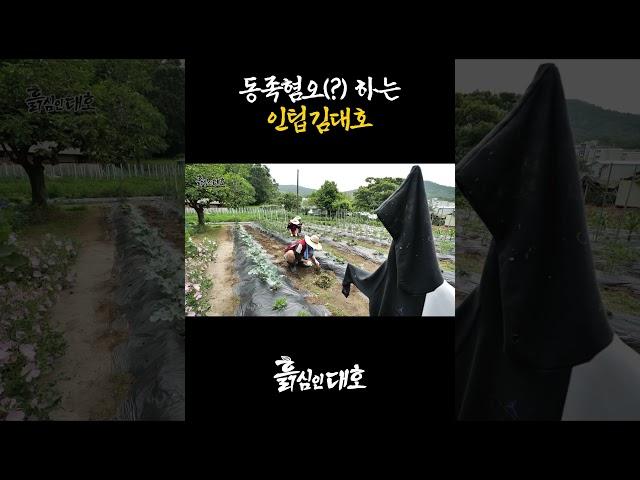동족혐오(?) 하는 인팁 김대호