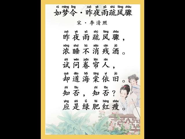 李清照的这五首诗你都会背吗？和婷婷姐姐一起来看看吧#李清照 #妇女节