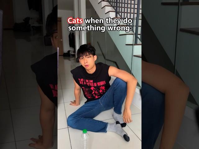 Cat is like a teenager