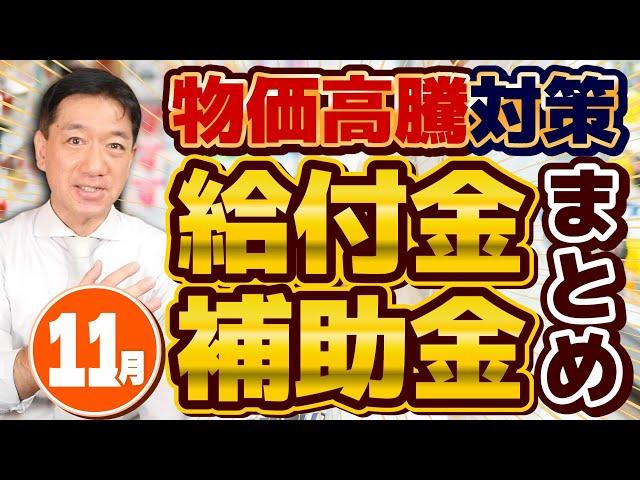 【11月度 物価高騰 給付金・補助金まとめ】今後の給付・臨時対策/ ひとり親家庭自立給付金 月7万円～/ 介護サービス等・事業者振興支援補助金20-100万円/ 個人・小規模向け〈24年11月時点〉