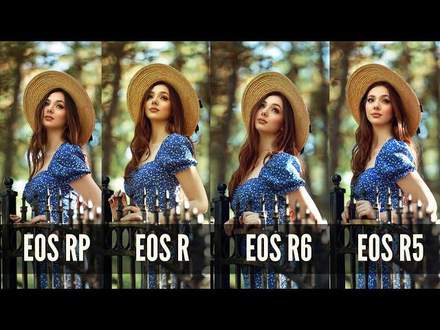 Comparing all 4 Canon Mirrorless Cameras EOS RP, R, R6 and R5