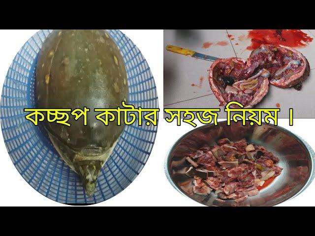 #কচ্ছপ কাটার সহজ পদ্ধতি #easy way to cut turtles  #tortoise cutting  #how to cut a turtle