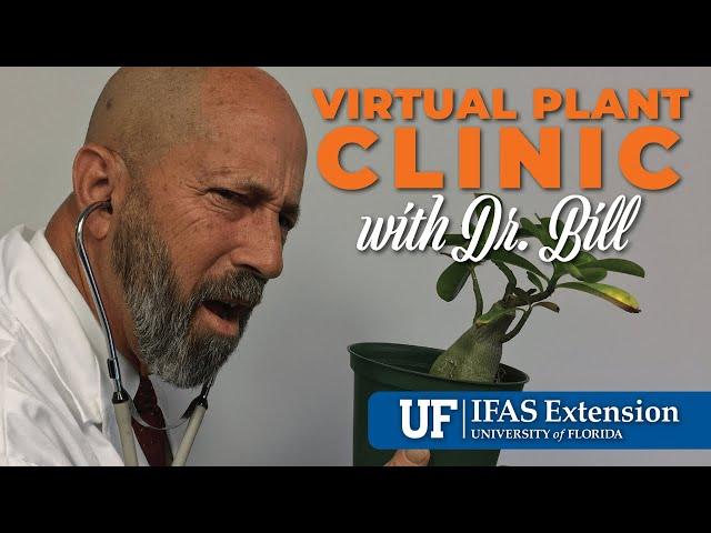 The Virtual Plant Clinic With Dr. Bill December 5, 2024